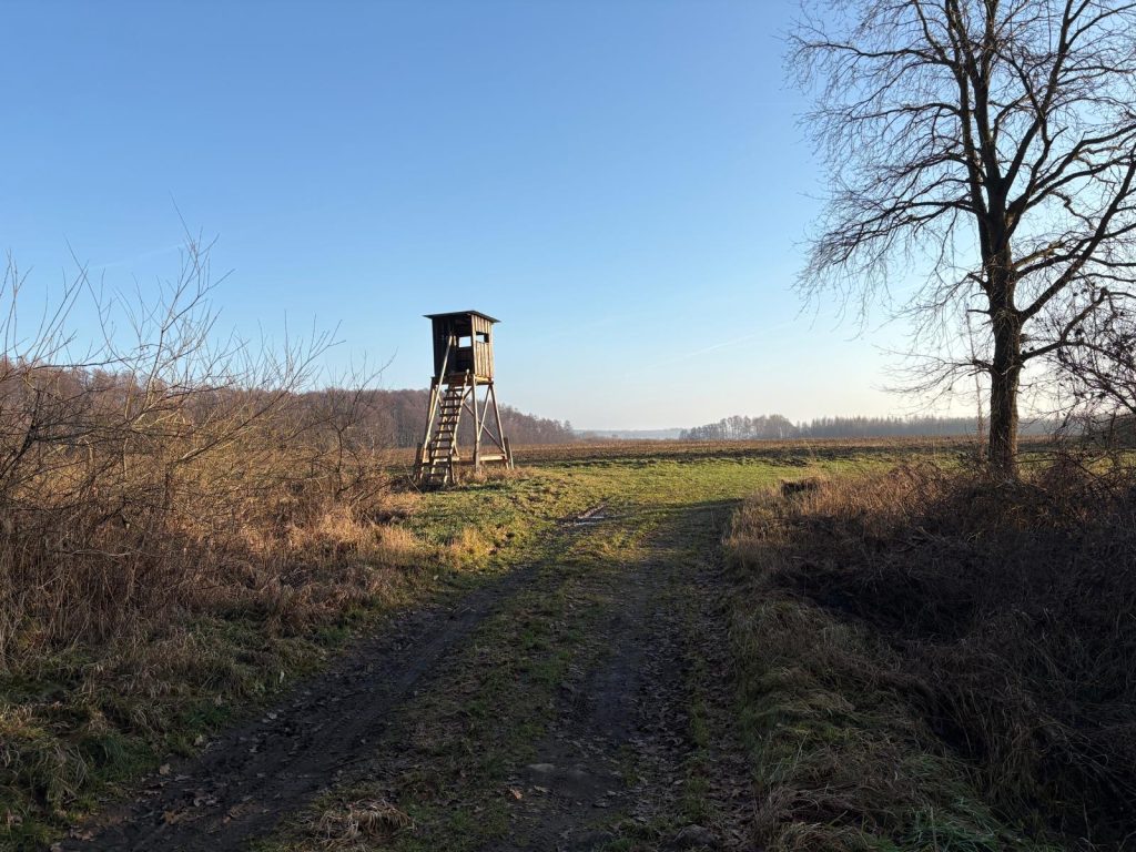 Jagdflächen & Jagdreviere Jagdrevier / Eigenjagdbezirk