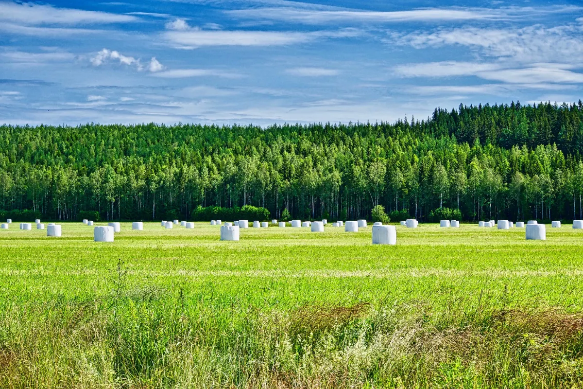 strukturierte Kommunikation. Ob erste Orientierung