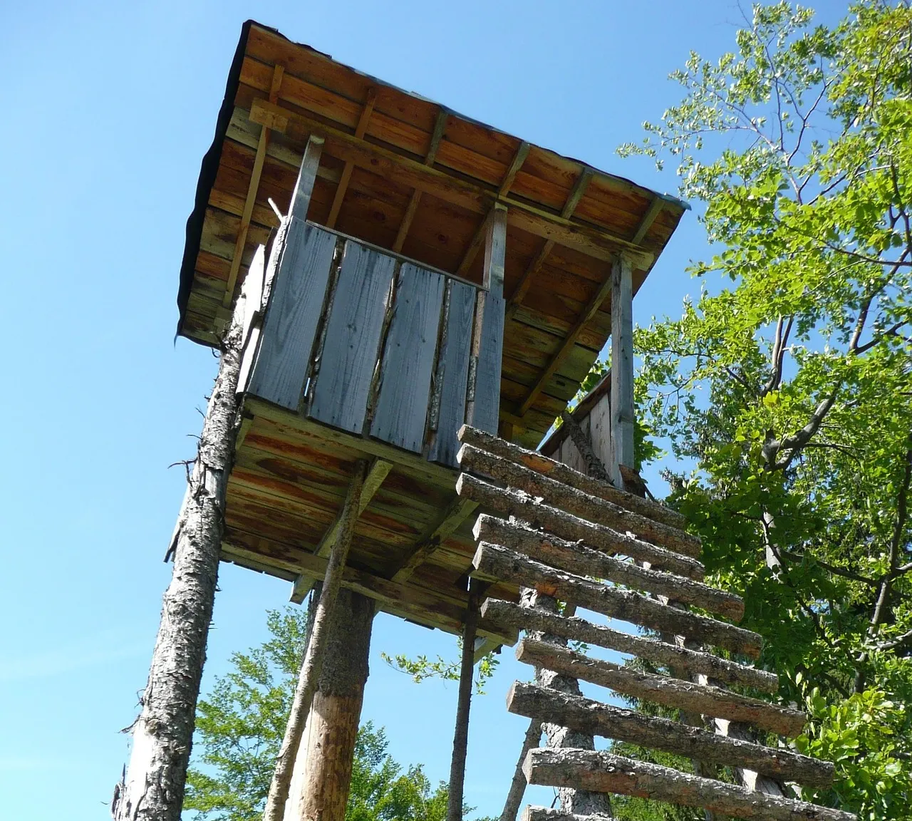 Perspektiven bei der Bewertung und Präsentation.