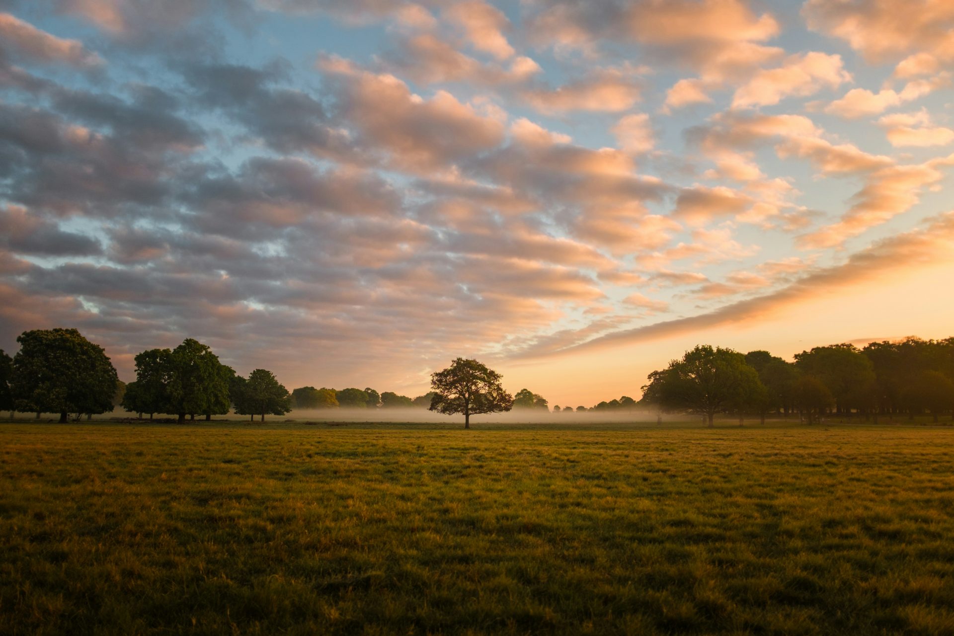 offenes Feld bei Sonnenuntergang